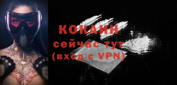 первитин Няндома