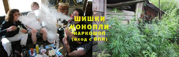 стаф Новокубанск