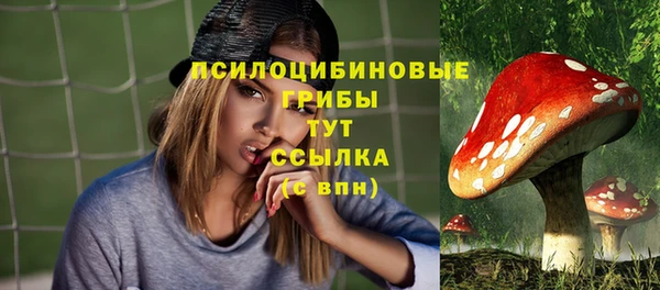 МДМА Ветлуга