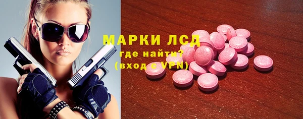 стаф Новокубанск