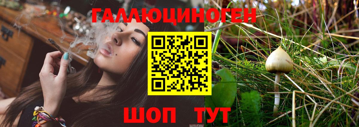 Псилоцибиновые грибы прущие грибы  Отрадное  где купить наркоту  Псилоцибиновые грибы GOLDEN TEACHER 
