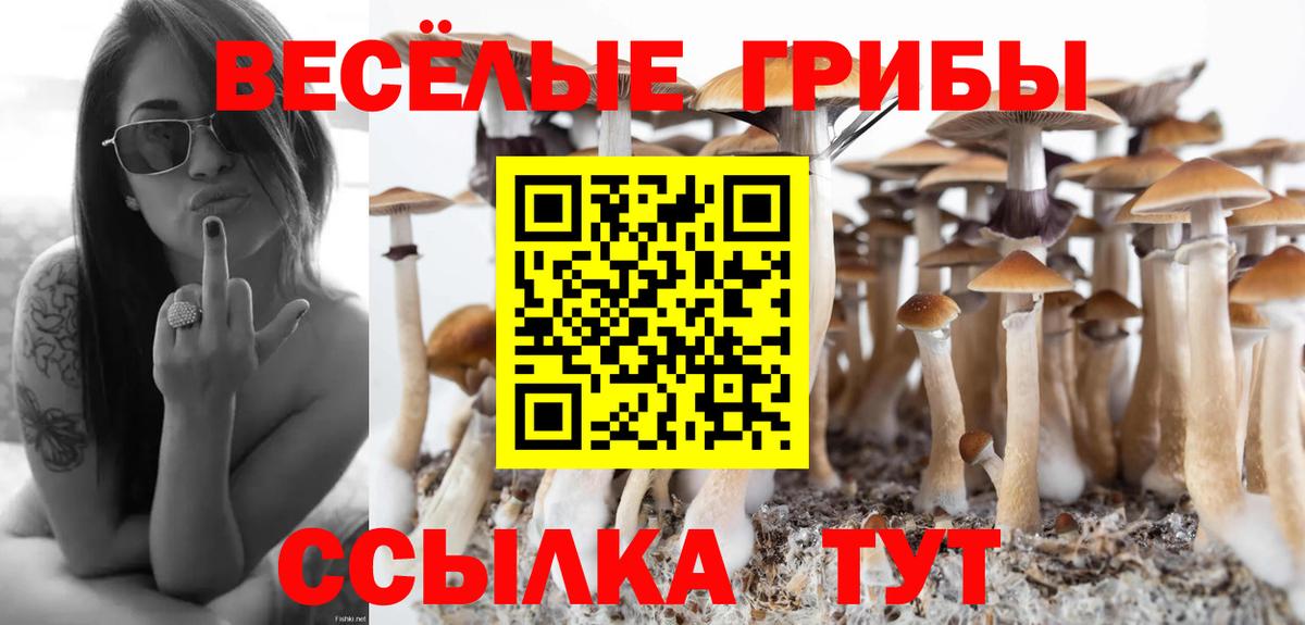 Псилоцибиновые грибы Magic Shrooms  продажа наркотиков  Отрадное  Вход с VPN  Галлюциногенные грибы мухоморы 